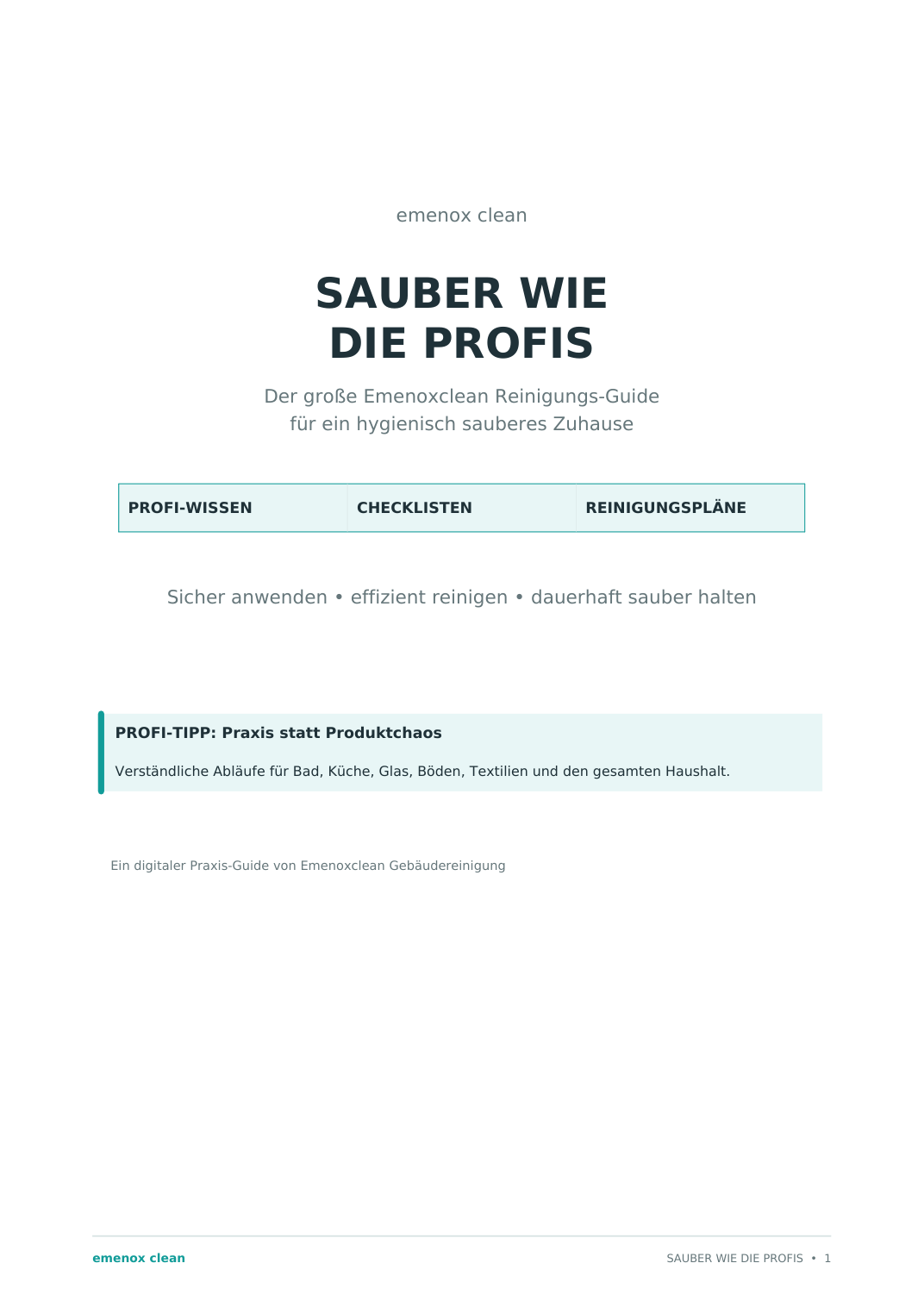 Originalcover: Sauber wie die Profis – der große Emenoxclean Reinigungs-Guide